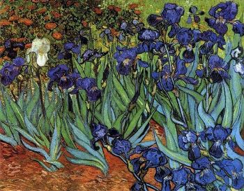 irises painting