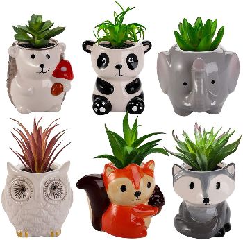 Cute Succulent Planters