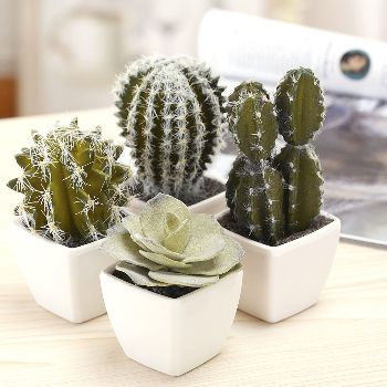 Mini Artificial Cactus Plants