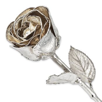 Silver Dipped Rose