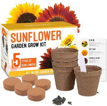 Sunflower Grow Kit