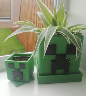 Creeper Plant Pot