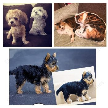 Customized 3D Pet Pillow