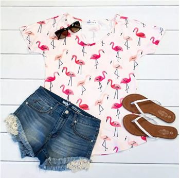 Comfy Flamingo Top