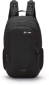 Pacsafe DayPack