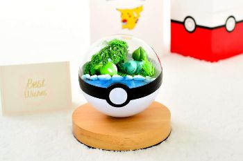 Pokemon Terrarium