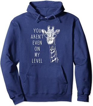 “You Aren't Even On My Level” Hoodie