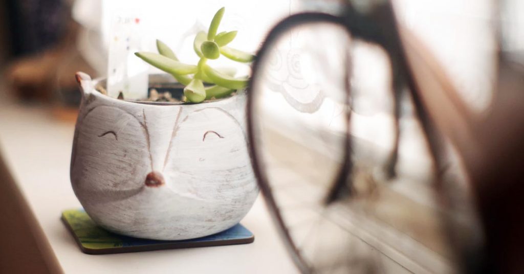 26 Adorable Hedgehog Gifts for Hedgehog Fans and Owners Retailey