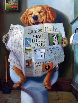 Dog Gone Funny Jigsaw Puzzle