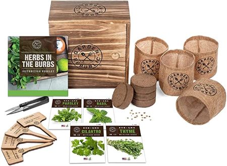 Indoor Herb Garden Starter Kit