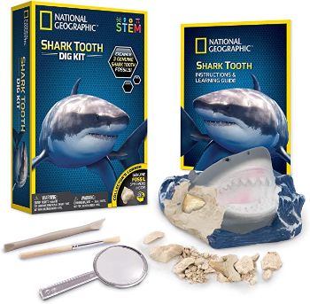  National Geographic Shark Tooth Dig Kit