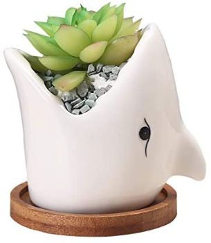 Shark Head Plant Pot