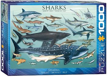 Shark Themed Jigsaw Puzzle