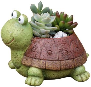 Turtle Pot for Plants