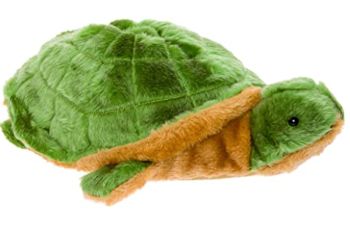 Turtle Slippers