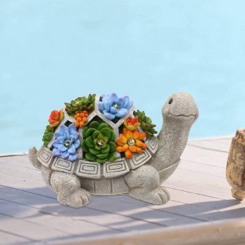  Turtle Statue