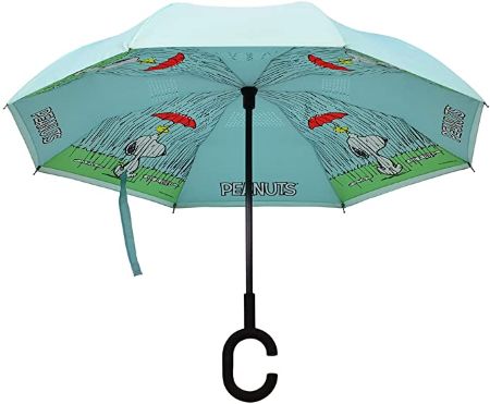 Reversible Umbrella