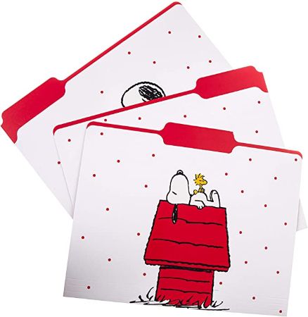 Snoopy File Folder Set