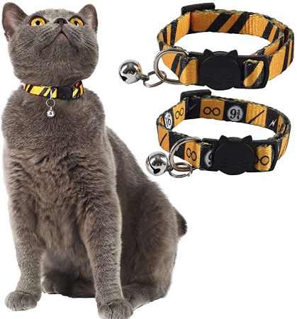 Cat Collar