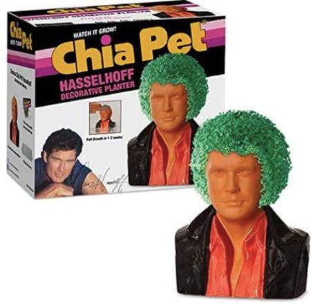 David Hasselhoff Chia Pet Pack