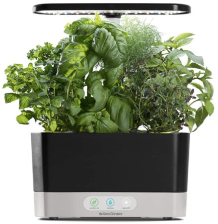 Indoor Hydroponic Herb Planter