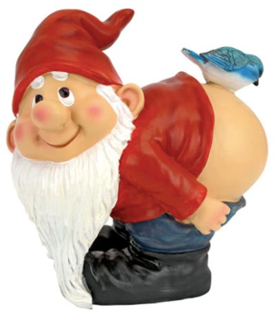 Moonie Garden Gnome