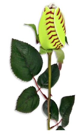 Softball Rose