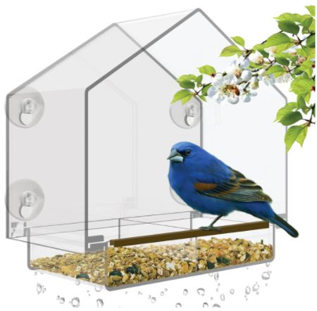 Window Bird Feeder