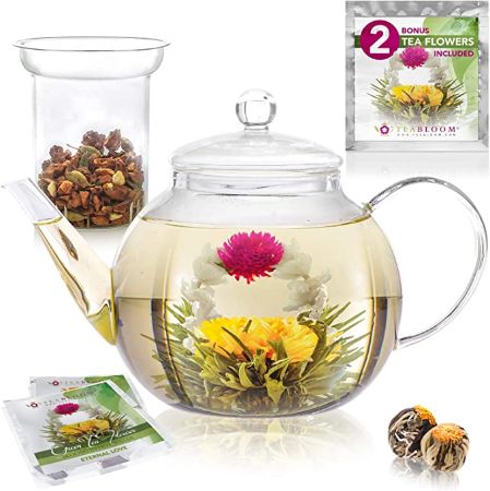 2-in-1 Tea Kettle and Tea Maker