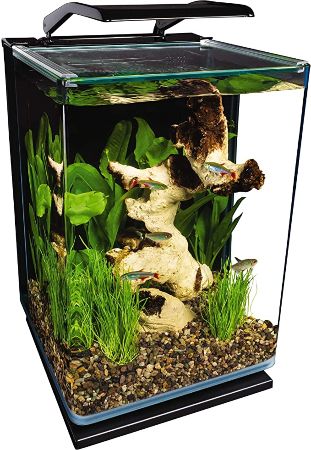 Aquarium Kit