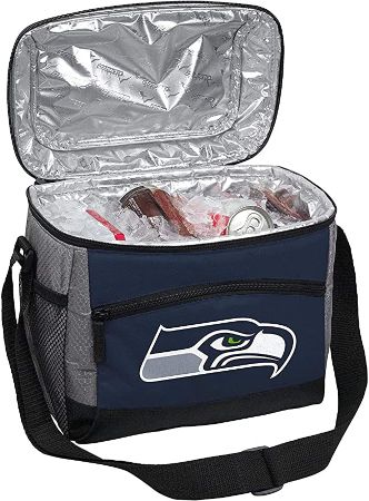 Insulated Cooler Bag