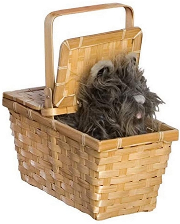 Toto in a Basket