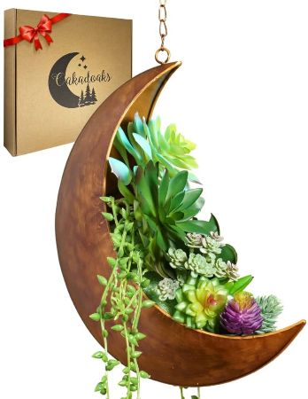 Hanging Moon Planter