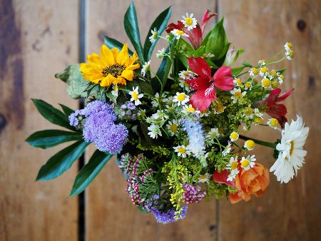 Fresh Cut Flowers