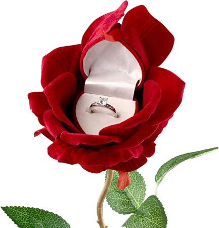 Rose Ring Box